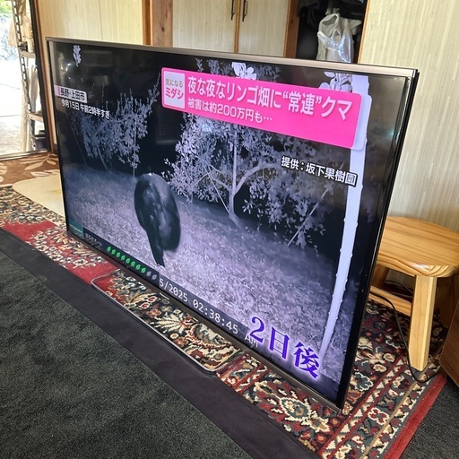 パナソニック 4k対応液晶テレビ