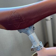 BRUNO Minivelo 20Flatの画像