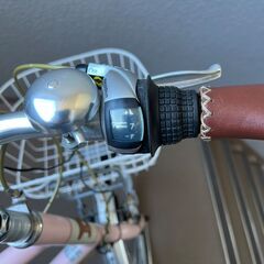 BRUNO Minivelo 20Flatの画像