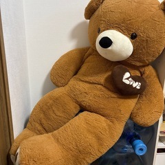 大きいくまさんの画像