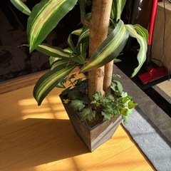 フェイク植物の画像