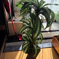 フェイク植物の画像