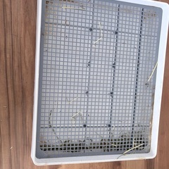 未清掃 ペット用トイレの画像