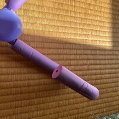 手に持ったり足に挟んだりしながらきたえるものの画像