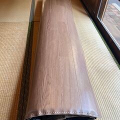 Panasonic 簡単床暖 DC-3V4Rの画像