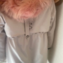 レディコートの画像