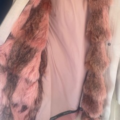 レディコートの画像