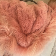 レディコートの画像