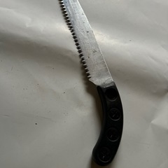 ノコギリ  庭木剪定の画像