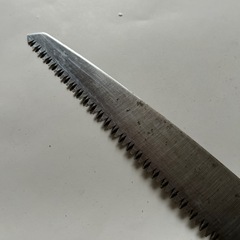 ノコギリ  庭木剪定の画像