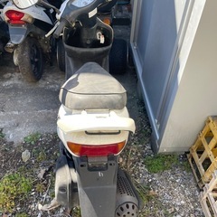 ライブディオの画像