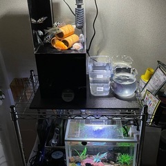 水槽セットの画像