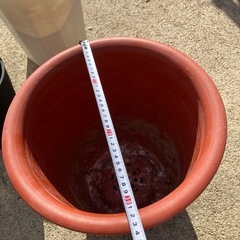 植木鉢ひとつ500円の画像