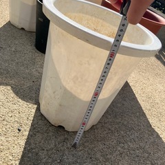 植木鉢ひとつ500円の画像