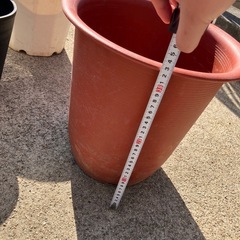 植木鉢ひとつ500円の画像