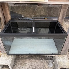 引き取り限定！最終値引き‼️90cmガラス水槽！格安にて😊の画像