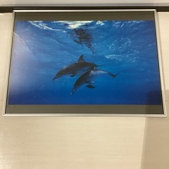 パネル額(イルカ)【町田市再生家具】1122の画像