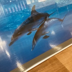 パネル額(イルカ)【町田市再生家具】1122の画像