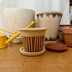 【杉並区】植木鉢、プランターの画像