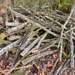 丸太薪、枝薪の画像