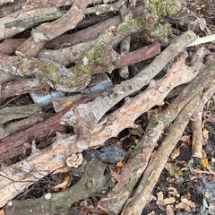 丸太薪、枝薪の画像