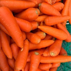 「新鮮にんじん、たっぷり1袋100円！」の画像