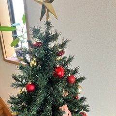 クリスマスツリーの画像