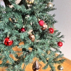 クリスマスツリーの画像