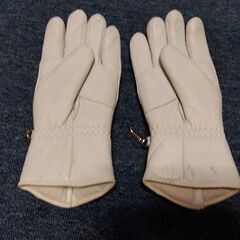 エスフィール スキー スノーボード 手袋の画像