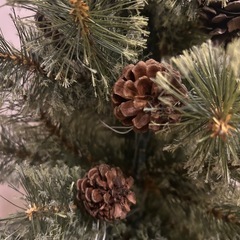 クリスマスツリー　80cm studioCLIPの画像