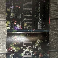 美品　加藤ミリヤの画像