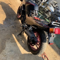 カワサキGPX250Rの画像