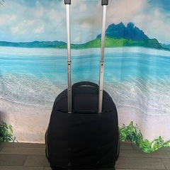 美品　elle golf キャラクター刺繍 中型キャリーケースの画像