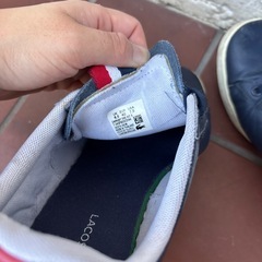 ラコステ　スニーカー26cmの画像