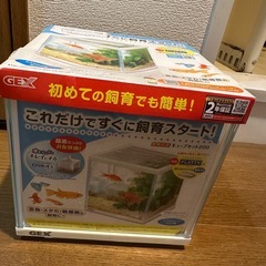 GEX 金魚元気 キューブセット の画像