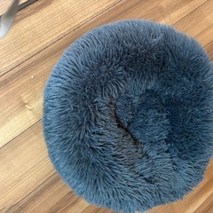 猫用、クッション2個セット未使用の画像