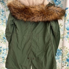 グリーンコートの画像