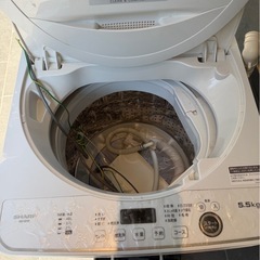 【SHARP】シャープ 全自動電気洗濯機 ES-GE5F-W 2022年製 5.5kg ホワイト 動作確認済 生活家電 一人暮らし 縦型洗濯機 高年式 Y1236の画像