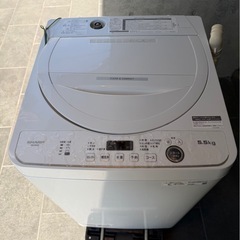 【SHARP】シャープ 全自動電気洗濯機 ES-GE5F-W 2022年製 5.5kg ホワイト 動作確認済 生活家電 一人暮らし 縦型洗濯機 高年式 Y1236の画像