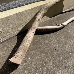 木（ オブジェ アンティーク）の画像