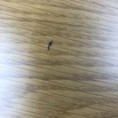 【ジャングルジャングル和歌山店】【Wa3315】ﾀﾞｲﾆﾝｸﾞテーブルリユースショップ リサイクルショップ 中古家具 中古家電 中古自転車 古着 冷蔵庫の画像