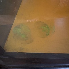 日本人形　ガラスケースの画像