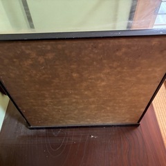 日本人形　ガラスケースの画像