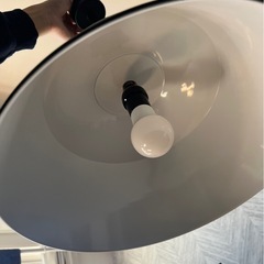 シーリングライト（黒）の画像