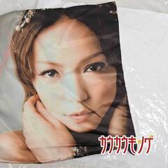 安室奈美恵 ドームツアー 5major dome tour 20...