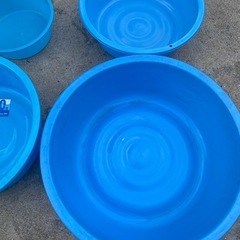 タライ🐠の画像