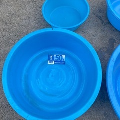 タライ🐠の画像