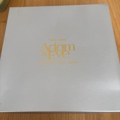 adam&eve セット食器の画像