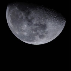 カメラマンやります！