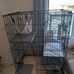 大きいペットケージお譲りします（現地受け渡しのみ）の画像